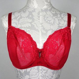 Victoria’s Secret Romantic Red Lace Jacquard Underwire Demi Bra 36DD 36 DD